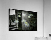 FLO 2705 Acrylic Print