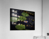 FLO 2703 Acrylic Print