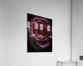 FLO 2711 Acrylic Print