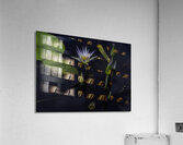 FLO 2702 Acrylic Print