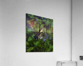 INS 2673 Acrylic Print