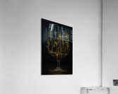 ABS 2718 Acrylic Print