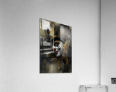ABS 2720 Acrylic Print