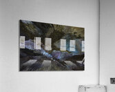 ABS 00006 Acrylic Print