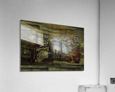 ABS 00007 Acrylic Print