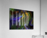 ABS 00042 Acrylic Print