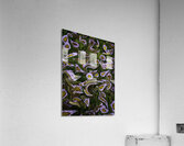 ABS 00064 Acrylic Print
