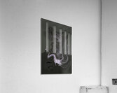 ABS 00031 Acrylic Print