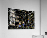 ABS 00075 Acrylic Print
