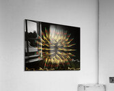 ABS 00001 Acrylic Print