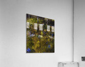 ABS 00012 Acrylic Print