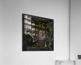 ABS 00015 Acrylic Print