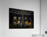 ABS 00019 Acrylic Print