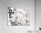 ABS 00024 Acrylic Print