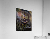 ABS 00021 Acrylic Print