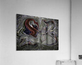 ABS 00026 Acrylic Print