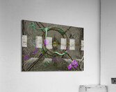 ABS 00039 Acrylic Print