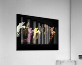 ABS 00041 Acrylic Print