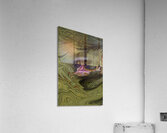 ABS 00037 Acrylic Print