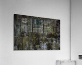 *ABS 00033 Acrylic Print