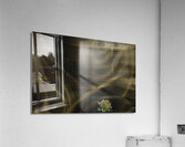 ABS 00045 Acrylic Print