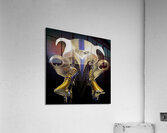 ABS 00049 Acrylic Print