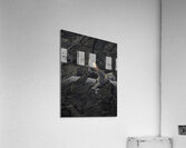 ABS 00053 Acrylic Print