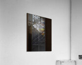 ABS 00046 Acrylic Print