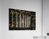 ABS 00079 Acrylic Print