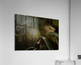 ABS 00070 Acrylic Print