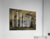 ANI 00111 Acrylic Print
