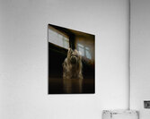 ANI 00110 Acrylic Print