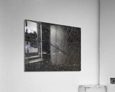 ANI 00105 Acrylic Print