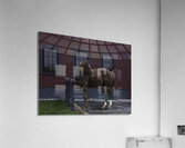 ANI 00109 Acrylic Print