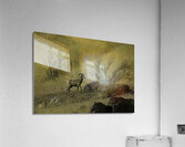 ANI*00116 Acrylic Print