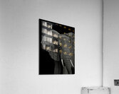 ANI 00100 Acrylic Print