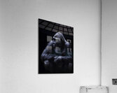 ANI 00102 Acrylic Print