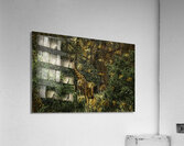 ANI 00092 Acrylic Print