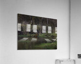 ANI 00117 Acrylic Print