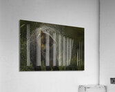 ANI 00131 Acrylic Print