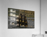 ANI 00136 Acrylic Print