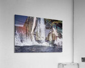 ANI 00126 Acrylic Print
