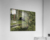 ANI 00176 Acrylic Print