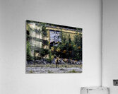 ANI 00170 Acrylic Print