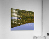 ANI 00177 Acrylic Print