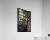 ANI 00166 Acrylic Print