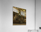 ANI 00193 Acrylic Print