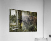 ANI 00208 Acrylic Print
