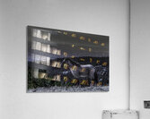 ANI 00196 Acrylic Print