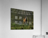 ANI 00185 Acrylic Print